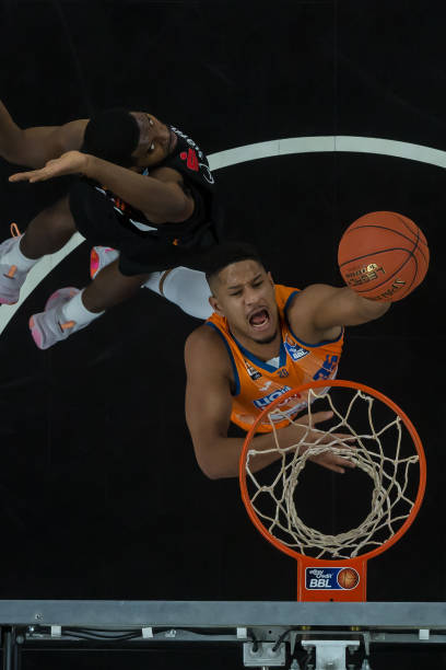 尤其是部分 尤其是部分